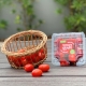 Tomates
